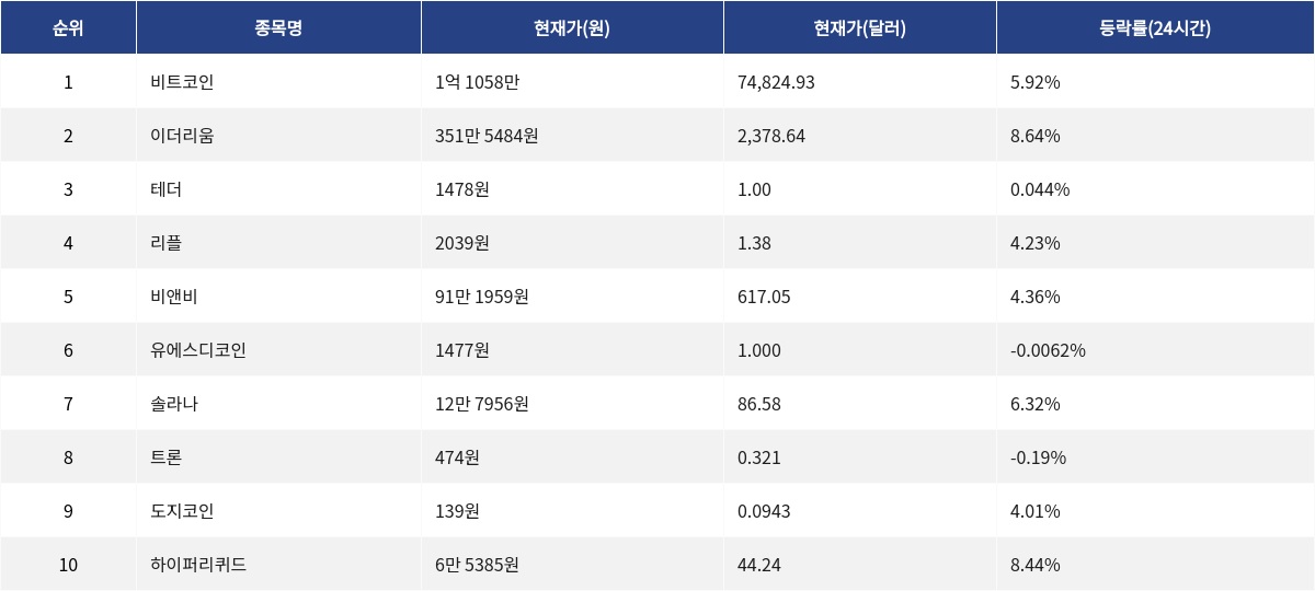 ▲자료제공=MetaVX