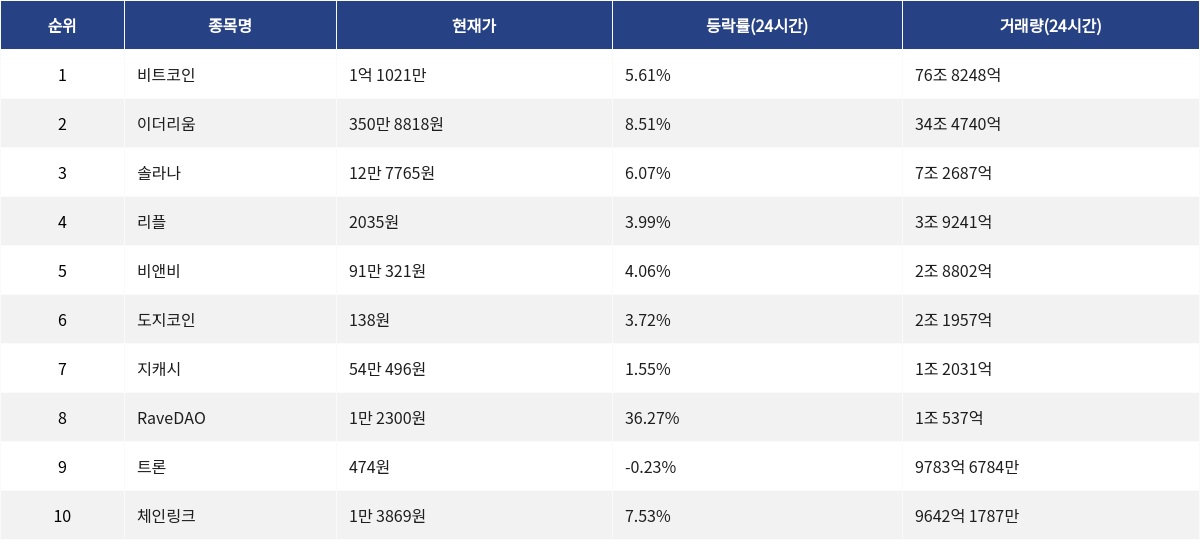 ▲자료제공=MetaVX