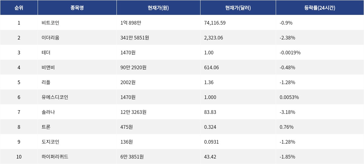 ▲자료제공=MetaVX