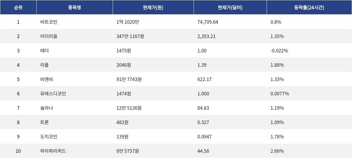 ▲자료제공=MetaVX