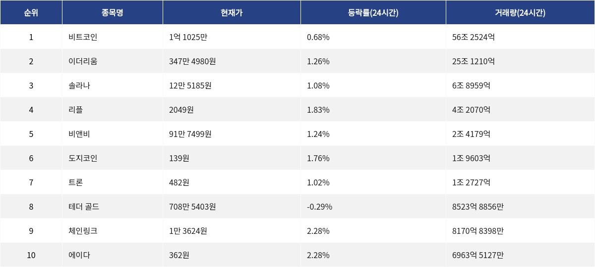 ▲자료제공=MetaVX