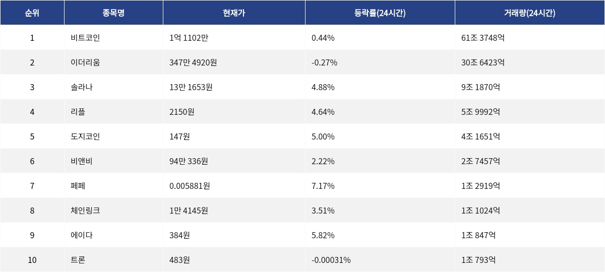 ▲자료제공=MetaVX
