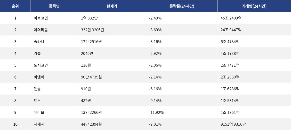 ▲자료제공=MetaVX