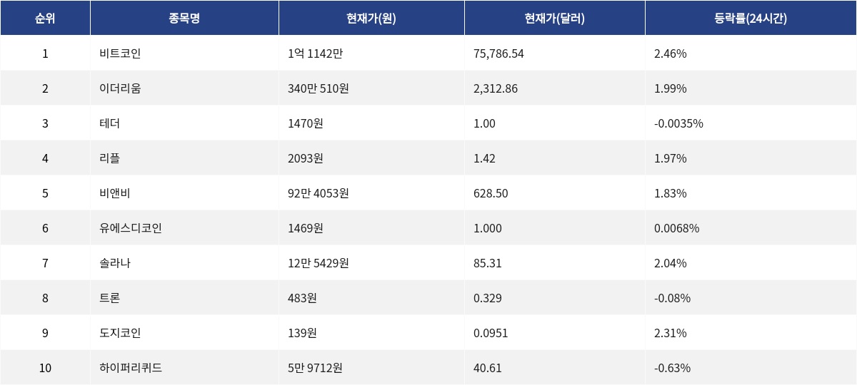 ▲자료제공=MetaVX