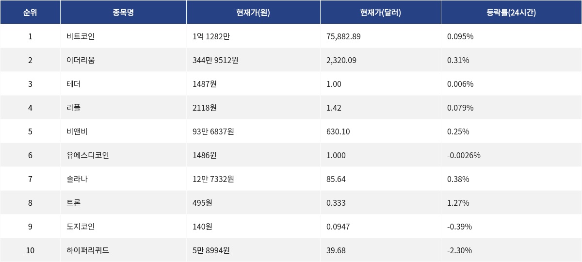 ▲자료제공=MetaVX