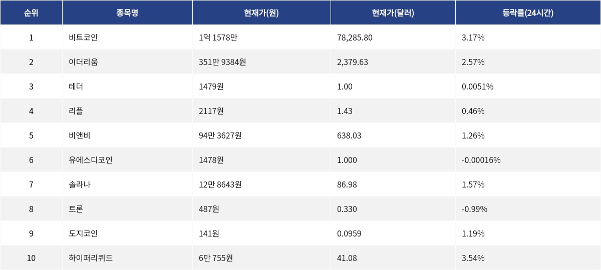 ▲자료제공=MetaVX