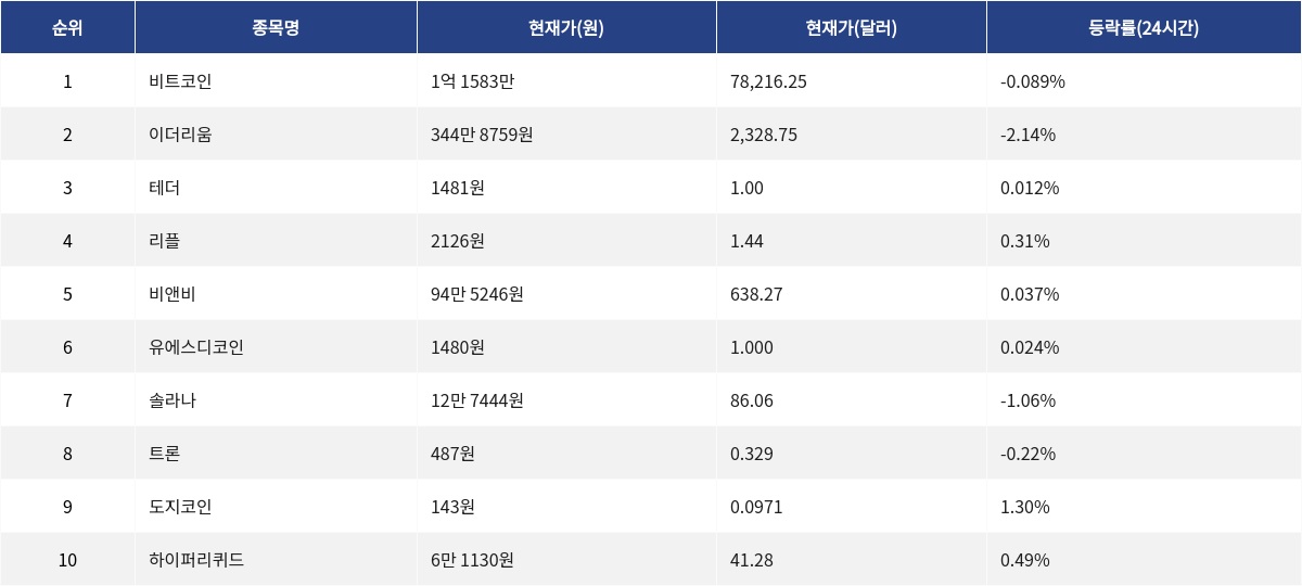 ▲자료제공=MetaVX