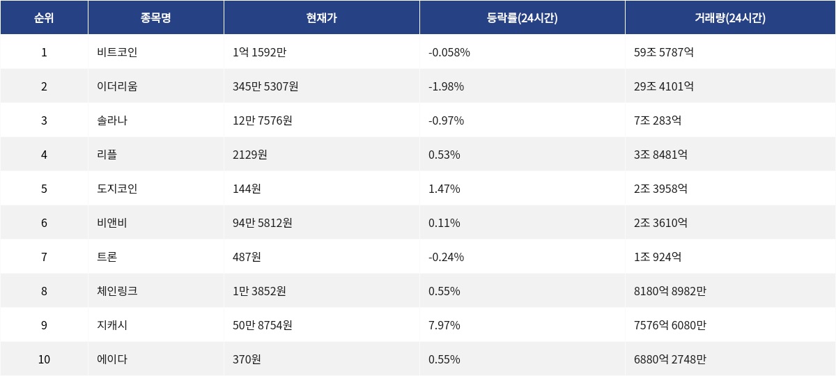 ▲자료제공=MetaVX