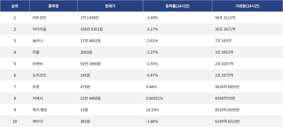 ▲자료제공=MetaVX