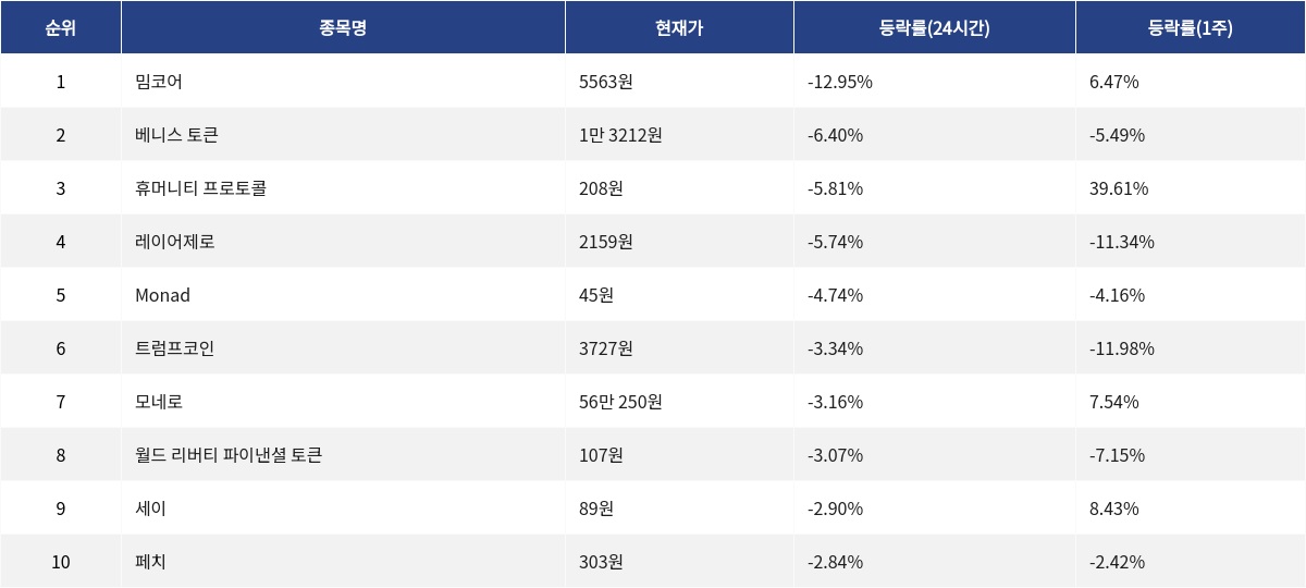 ▲자료제공=MetaVX