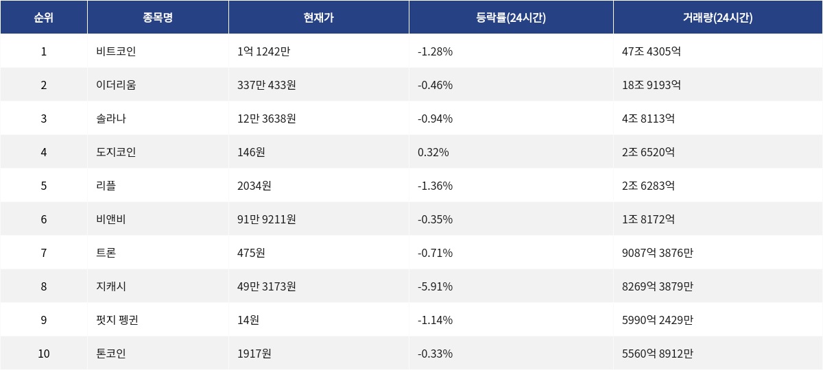 ▲자료제공=MetaVX