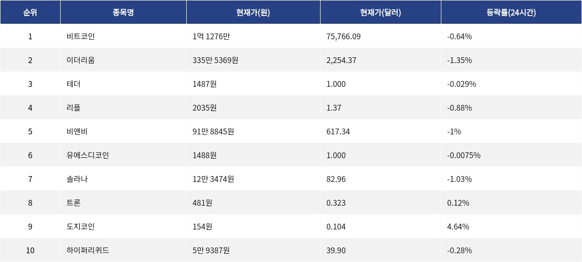 ▲자료제공=MetaVX
