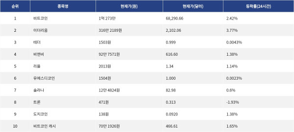 ▲자료제공=MetaVX