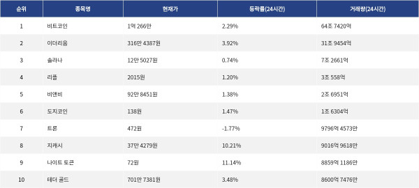 ▲자료제공=MetaVX