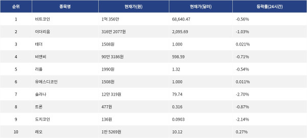 ▲자료제공=MetaVX
