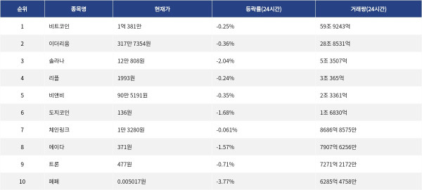 ▲자료제공=MetaVX