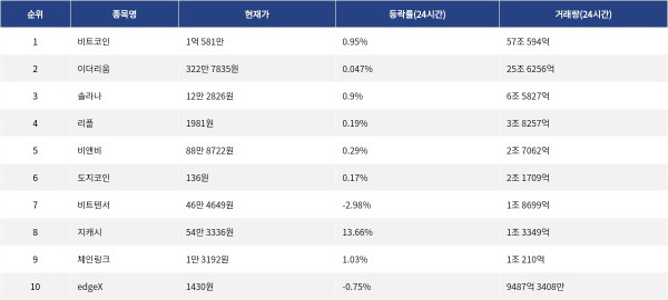 ▲자료제공=MetaVX