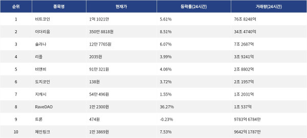 ▲자료제공=MetaVX