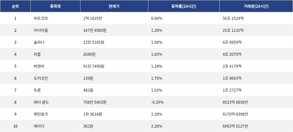 ▲자료제공=MetaVX