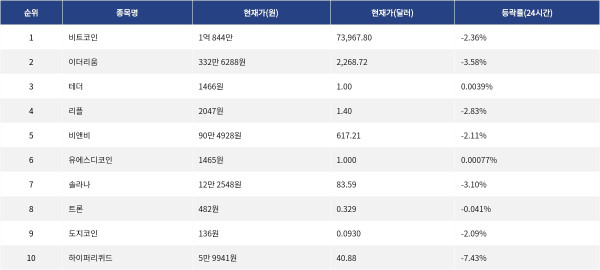 ▲자료제공=MetaVX