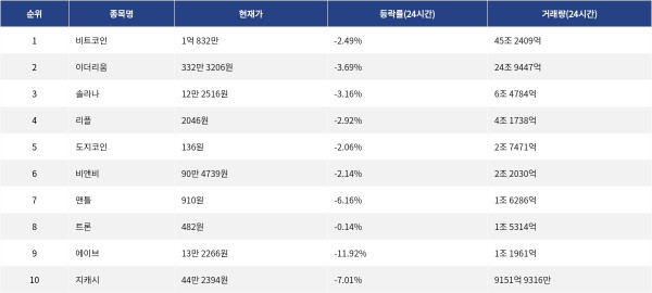 ▲자료제공=MetaVX