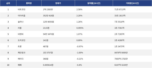 ▲자료제공=MetaVX
