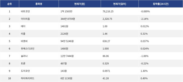 ▲자료제공=MetaVX