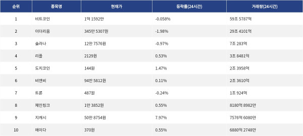 ▲자료제공=MetaVX