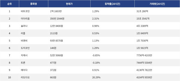 ▲자료제공=MetaVX