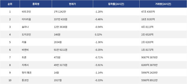 ▲자료제공=MetaVX