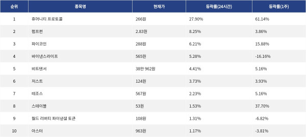▲자료제공=MetaVX