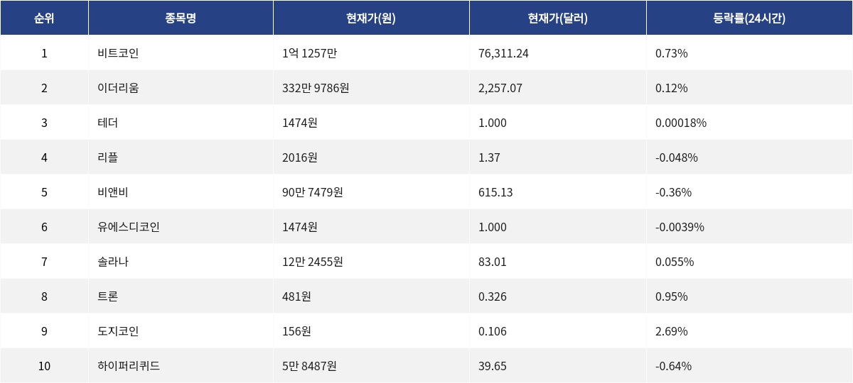 ▲자료제공=MetaVX