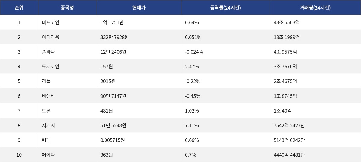 ▲자료제공=MetaVX
