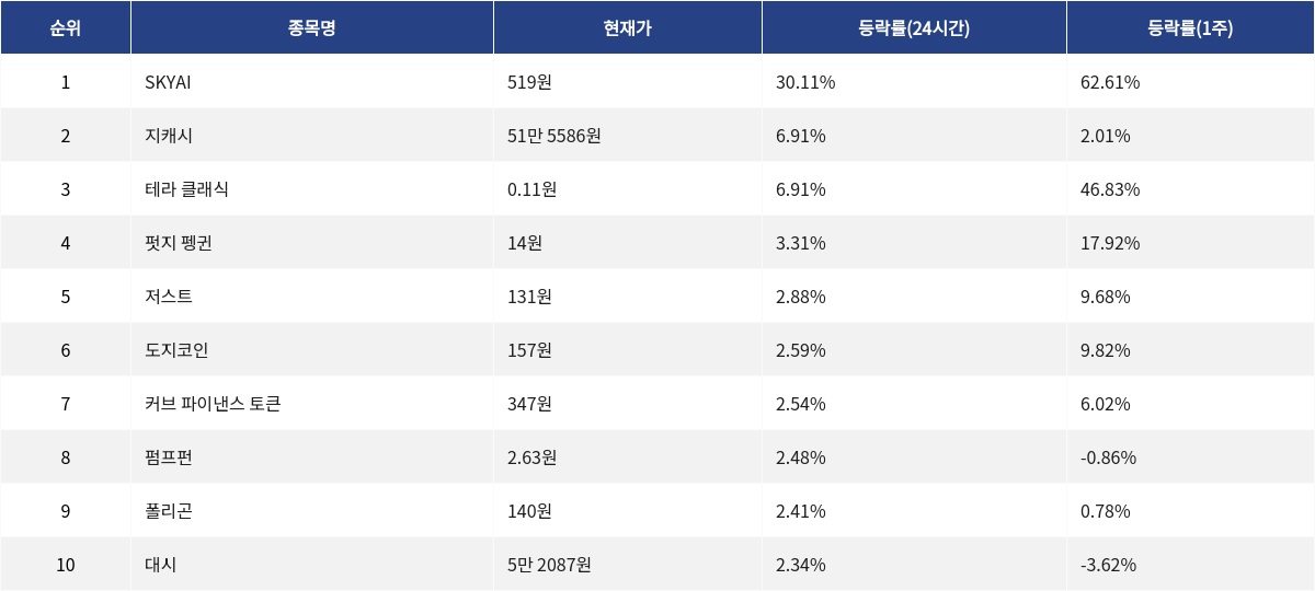 ▲자료제공=MetaVX