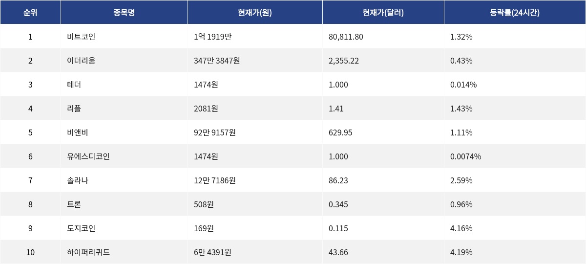 ▲자료제공=MetaVX