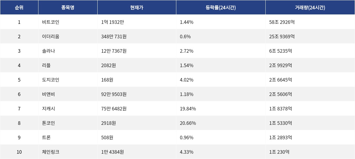 ▲자료제공=MetaVX