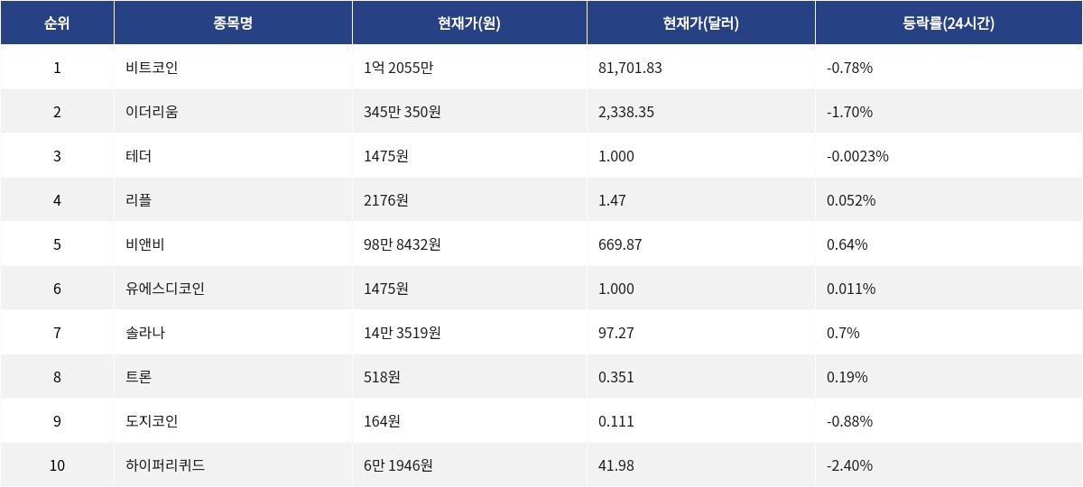 ▲자료제공=MetaVX