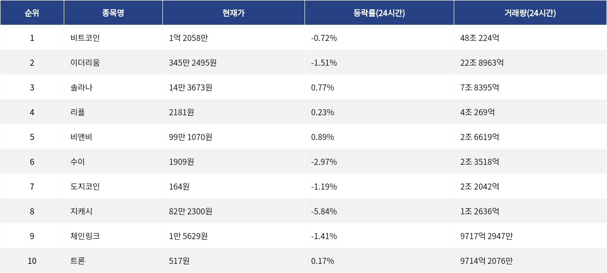 ▲자료제공=MetaVX