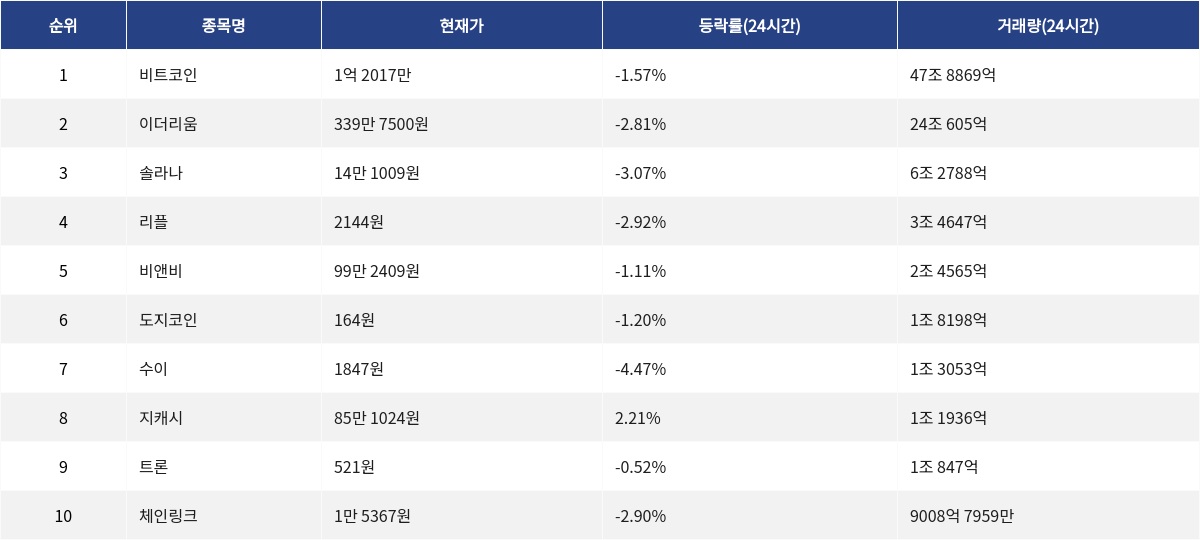 ▲자료제공=MetaVX