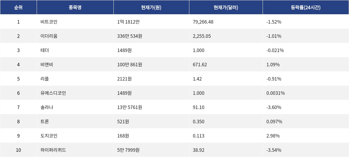 ▲자료제공=MetaVX