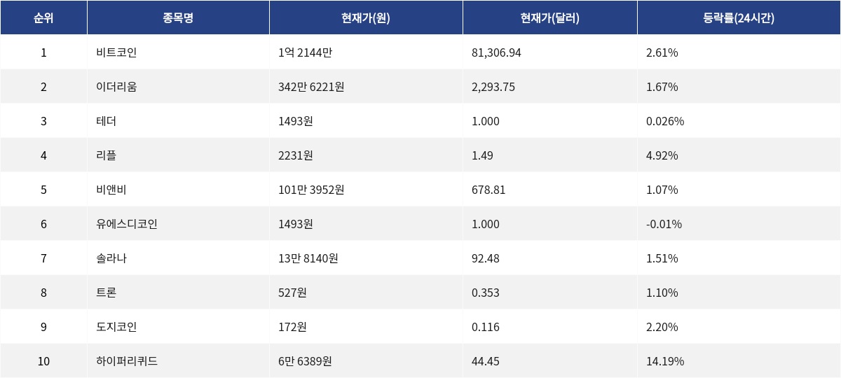 ▲자료제공=MetaVX