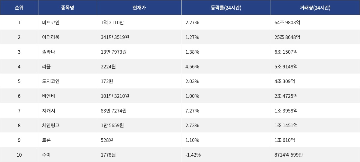 ▲자료제공=MetaVX