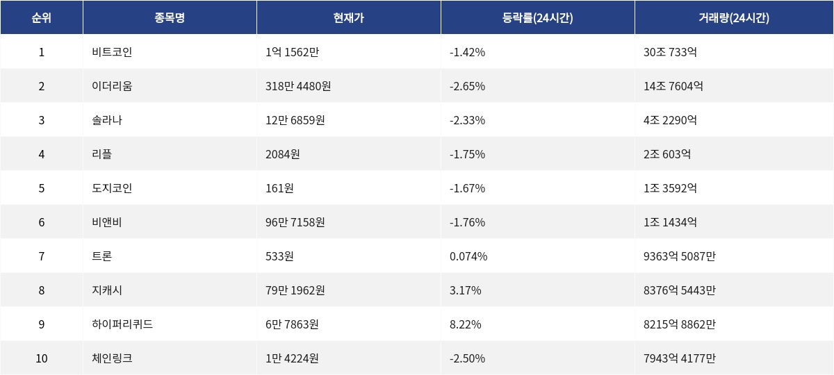 ▲자료제공=MetaVX