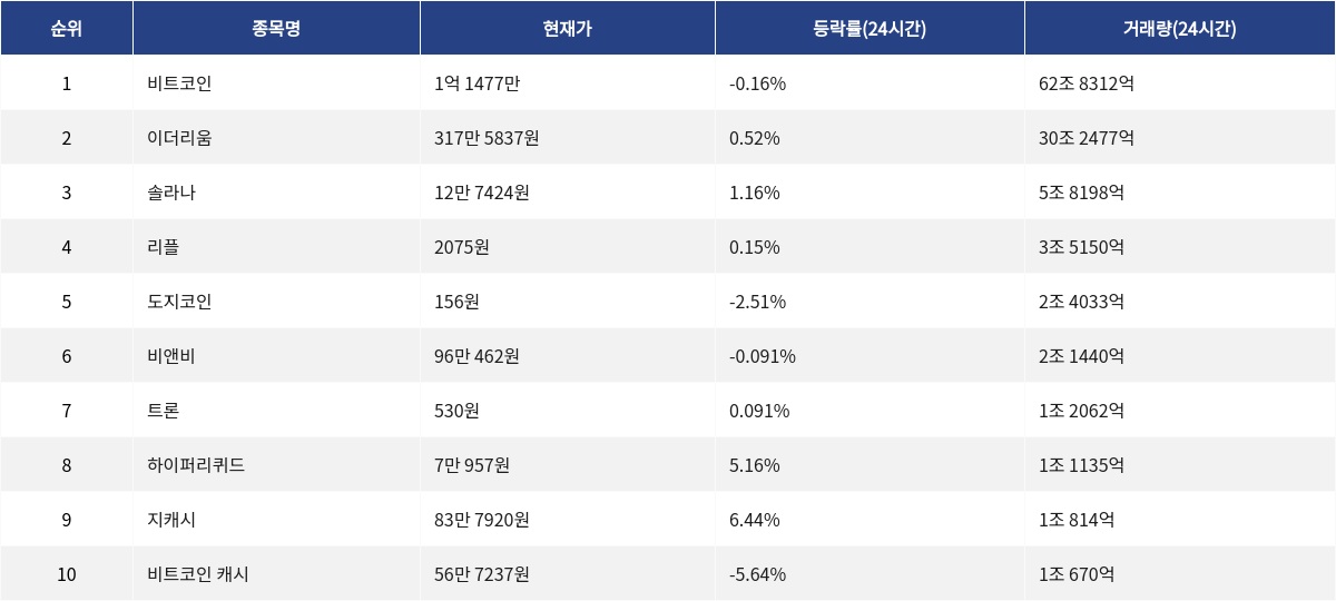 ▲자료제공=MetaVX
