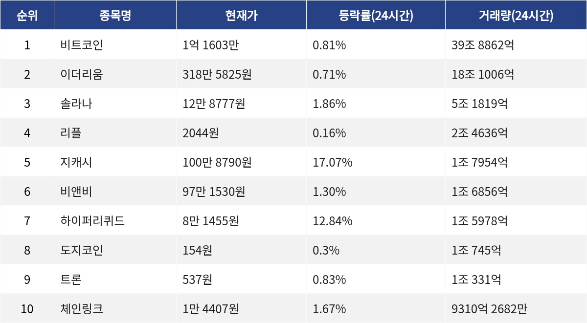 ▲자료제공=MetaVX