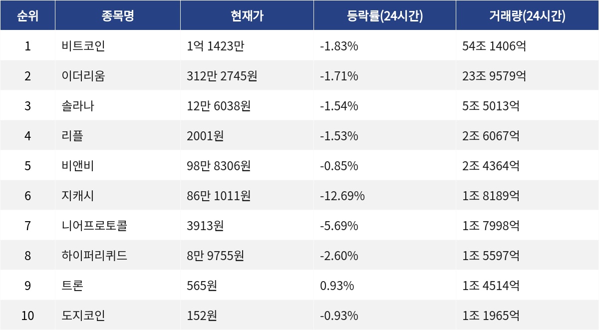 ▲자료제공=MetaVX