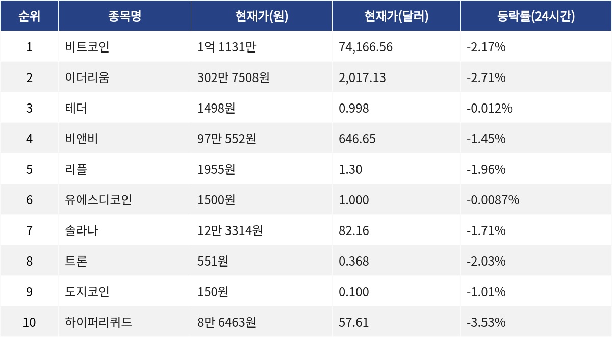 ▲자료제공=MetaVX