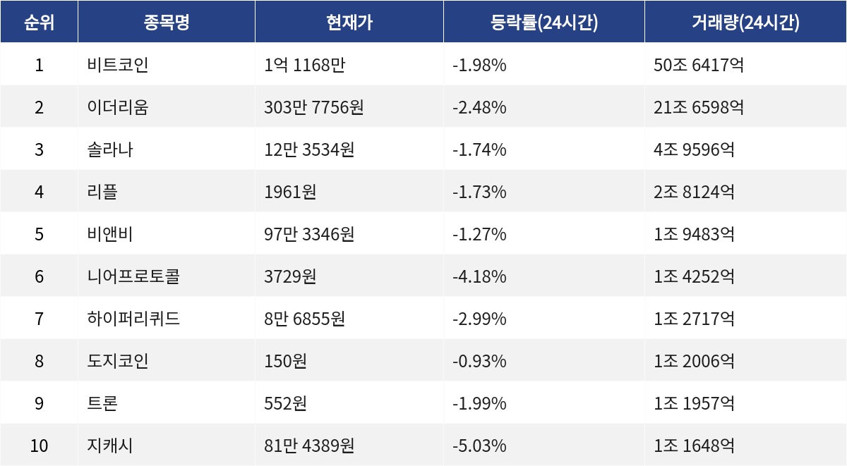 ▲자료제공=MetaVX