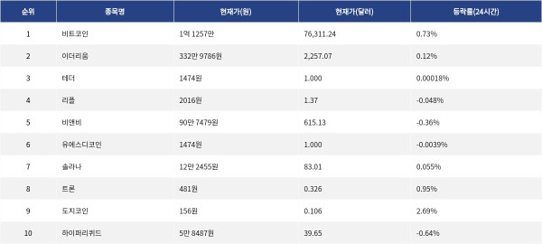 ▲자료제공=MetaVX