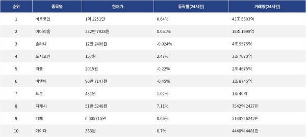 ▲자료제공=MetaVX